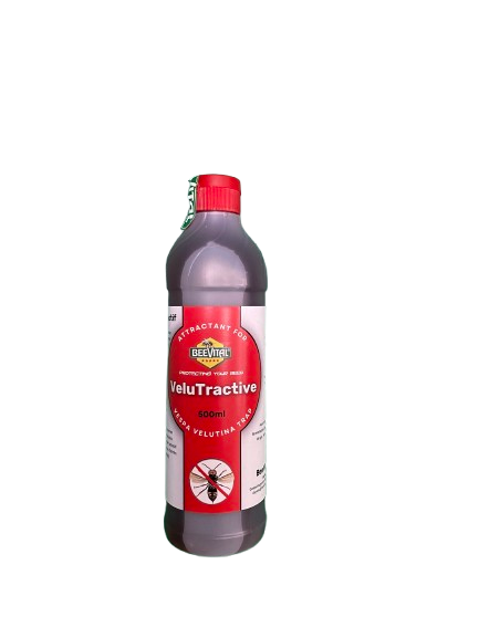 Attractif à frelons asiatiques - VeluTractive (500ml)