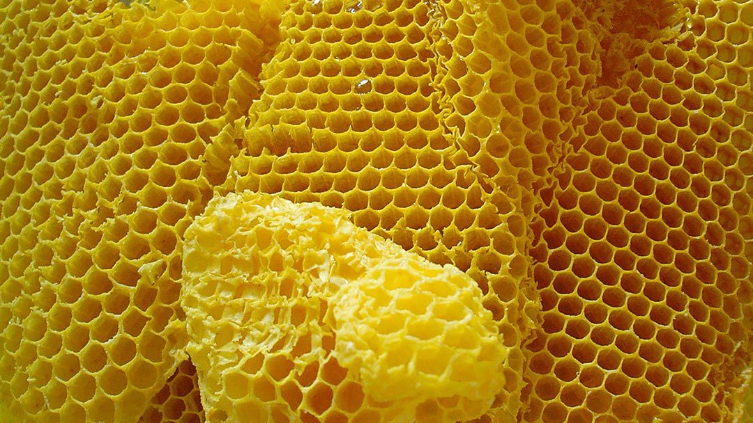 Abeilles Cire plaques DN 1 kg 35x20 apiculteurs aussi f Apiculture Bougies abeilles Cire Bee Dnm