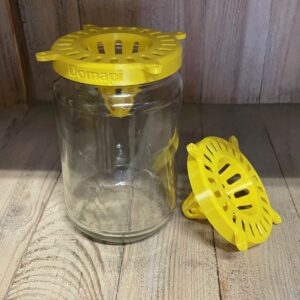 Piège à frelons asiatique "bocal" conique sélectif