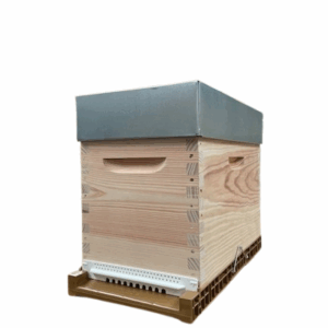 RUCHETTE DADANT 6C ESSENTIELLE DOMAPI