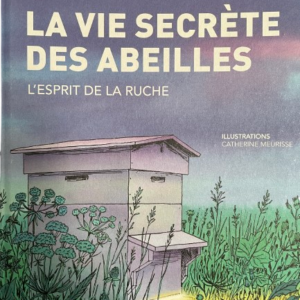 La vie secrète des abeilles, l'esprit de la ruche